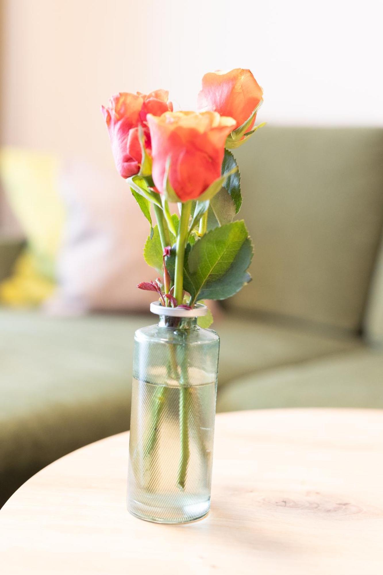 Appartementdeluxe Steiert - Near Europa Park - Rulantica - Spacious - Fully Equipped Kitchen - Private Garden - Free Parking - Pet Friendly Schwanau Exteriér fotografie